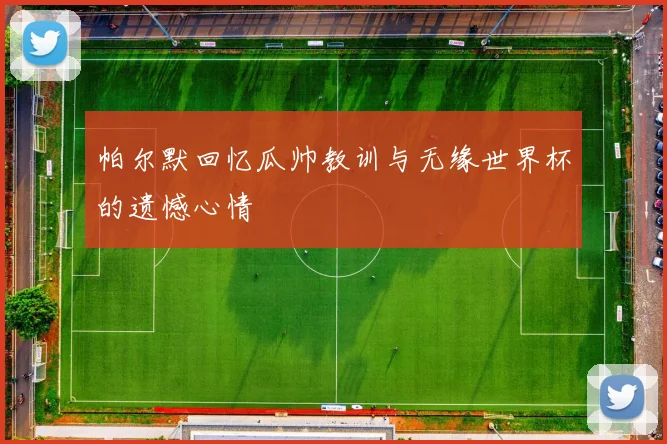 帕尔默回忆瓜帅教训与无缘世界杯的遗憾心情